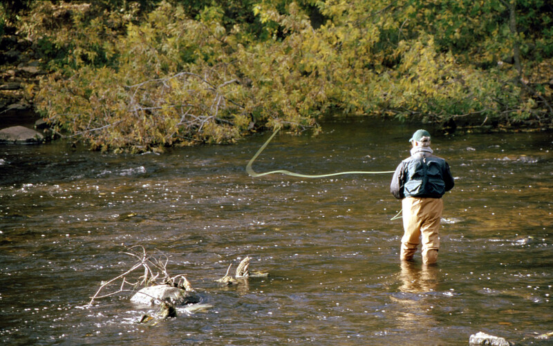 J&S Creekside Cabins fly fishing Catskills trout
