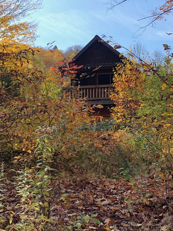 Winter cabin scene along the Willowemoc Creek in Livingston Manor, NY